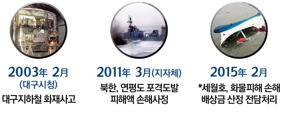 2003년 2월 대구지하철 화재사고, 2011년 3월 북한 연평도 포격도발 피해액 손해사정, 2015년 2월 세월호 화물피해 손해 배상금 산정 전담처리